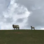 De Seekobb - Direkt An Der Nordseeg-spitze By Interhome בית נופש פרידריכסקוג-שפיץ