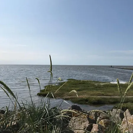 De Seekobb - Direkt An Der Nordseeg-spitze By Interhome * Friedrichskoog-Spitze