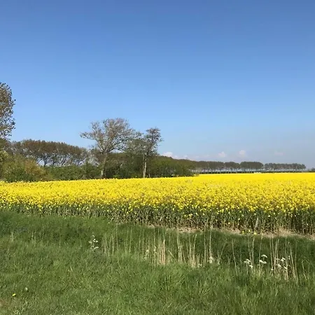 De Seekobb - Direkt An Der Nordseeg-spitze By Interhome * Friedrichskoog-Spitze